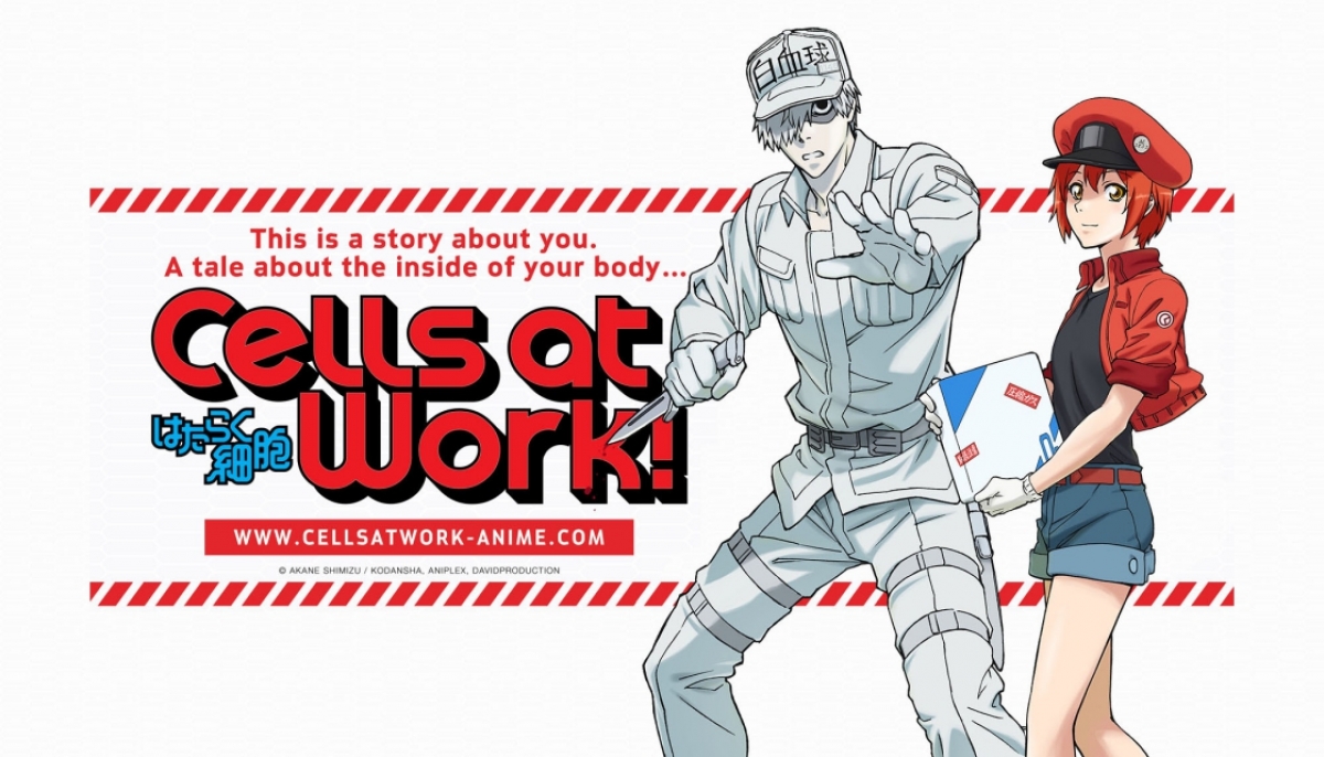 cells at work! nuova stagione